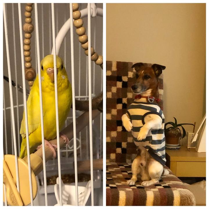 9d7be540 a37d 4754 837e 94c31b914bd7 1603061981089