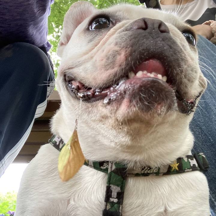 9d7bfa72 82d2 426c b3ca 12d9482fc631 1657024410714