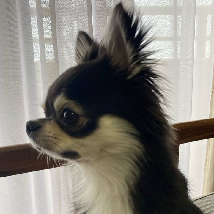 9d7c1bee 7125 429f 9197 aabeb090e1e4 1632554327663