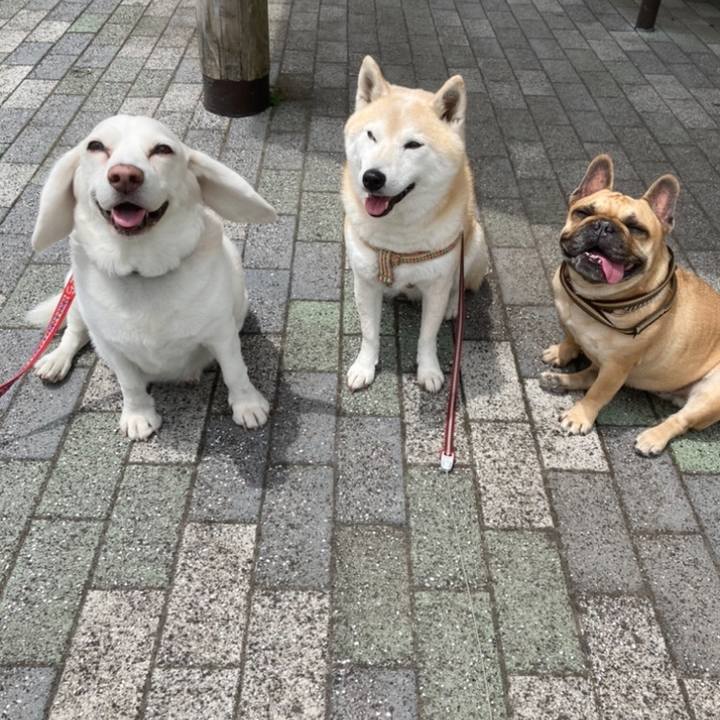 9d7c4f2a 1e75 46af 9454 8ed56a4686b2 1667485400184