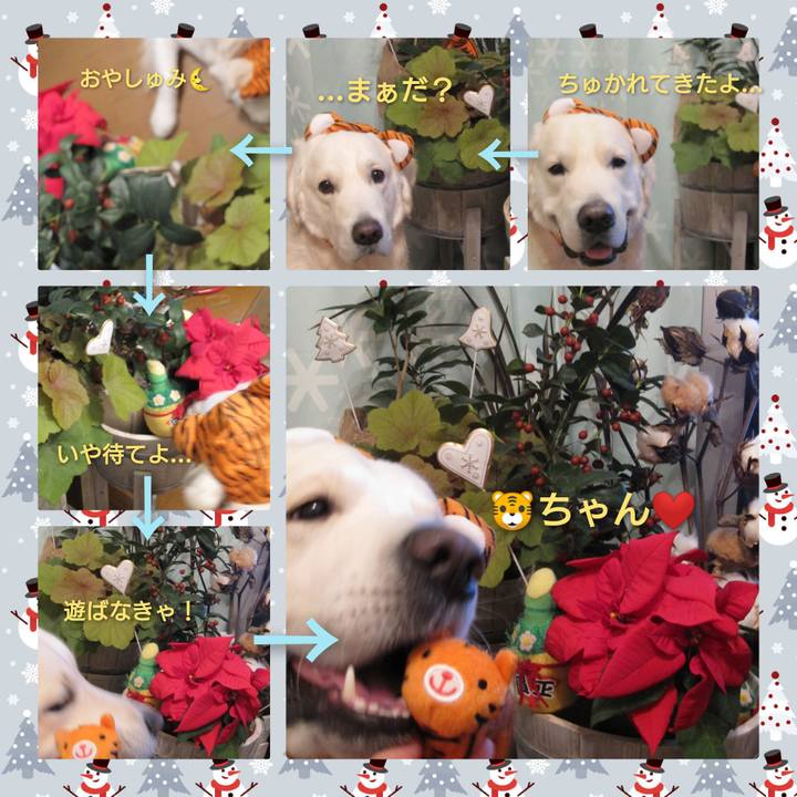 9d7c51a5 122c 4d17 aa88 aefa644ec061 1641645781440