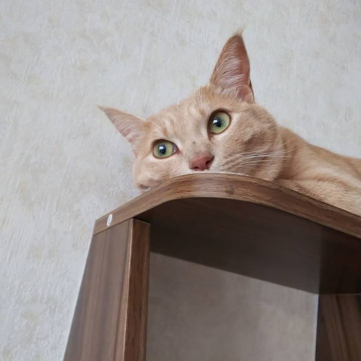 9d7c6871 8c32 4e9e 8b56 a8e62bb057ed 1569878658082