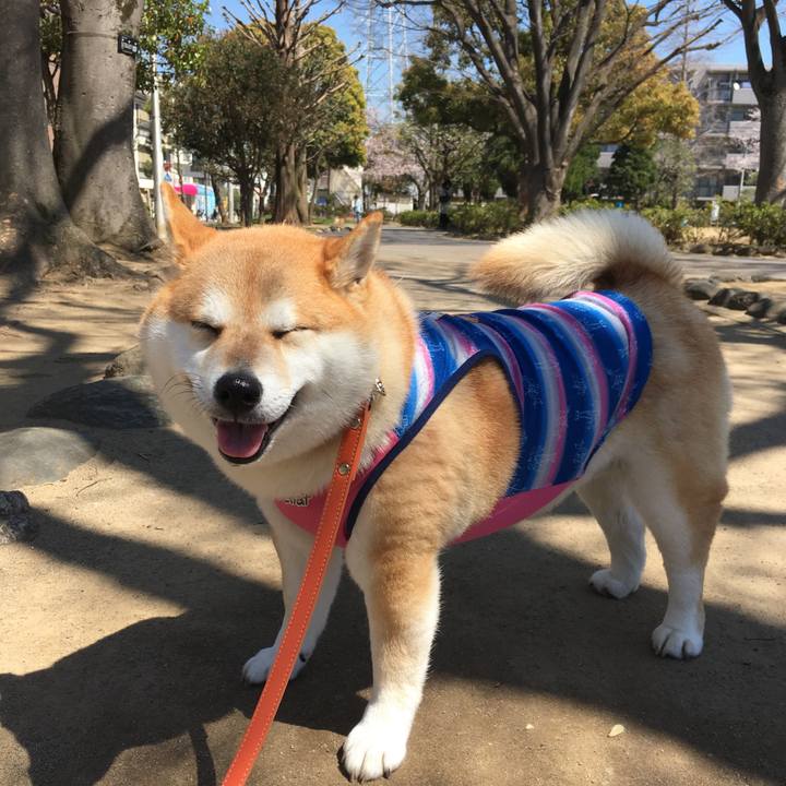 9d7c77f5 02f3 4639 b9e8 731077131c0b 1554349439903