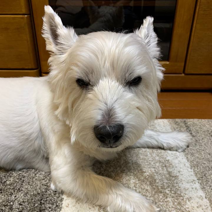 9d7c92e9 3b7f 4470 b699 c68916314519 1571144518010