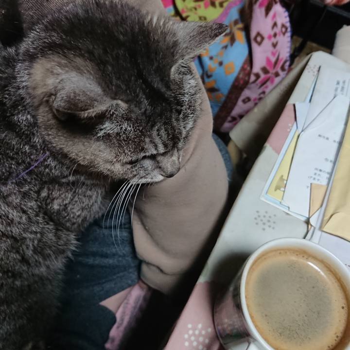 9d7c968f d90f 400a 810a e1127484364c 1584650639579