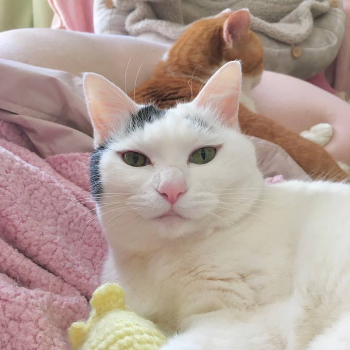 9d7cc36d 4b43 4ca7 af17 c79a7b83af7f 1615159644368