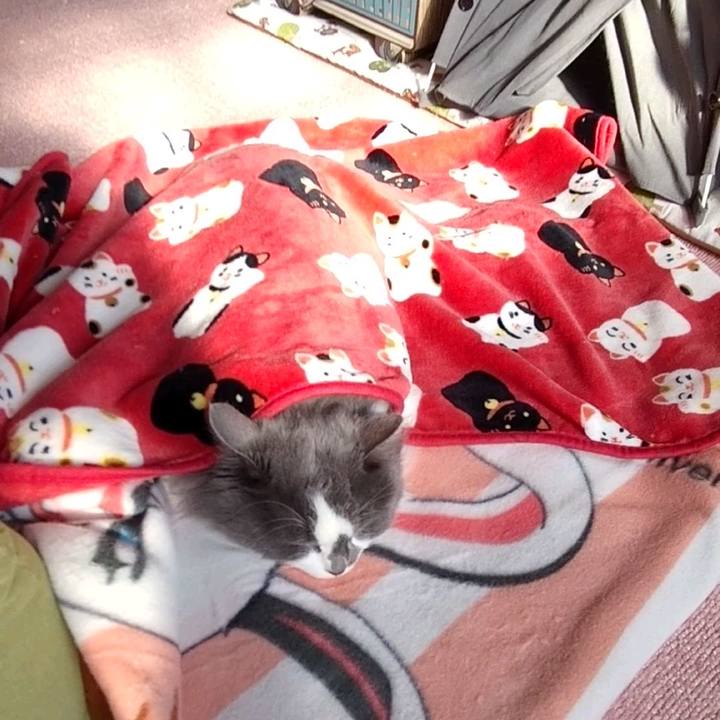 9d7cedec 34be 4a26 908f f37b3ec6df57 1645944852187