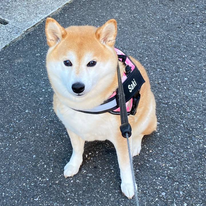 9d7cf208 b393 4740 a1f4 9a3433b652f4 1638234486546