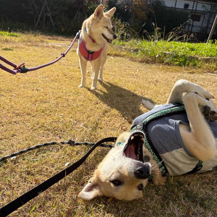 9d7cfc28 ccd3 42eb be97 1b6ef2d770ab 1763612449842