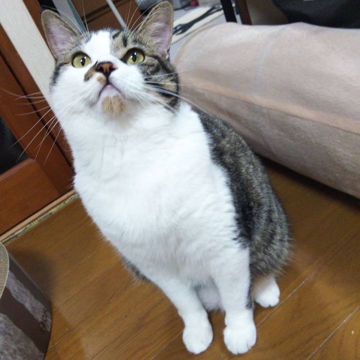 9d7cfe55 060e 4802 bda8 e5c71ce0e554 1630154225551