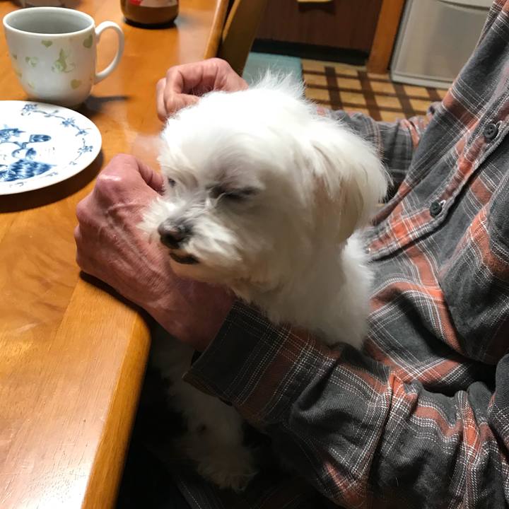 9d7d1250 5efe 4d9b b778 666f57812c75 1520669552484