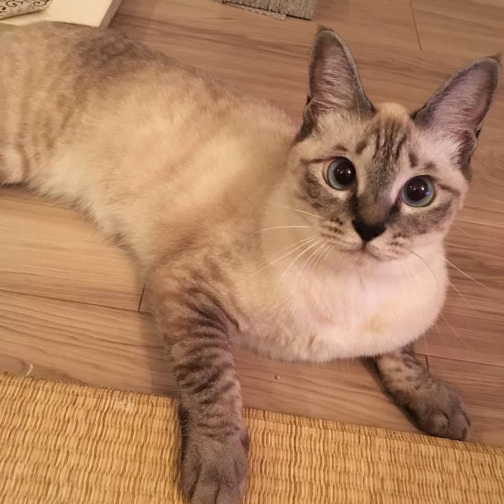 9d7d380d 2ed6 4d1d 89c2 53a1f390cae8 1569757171236