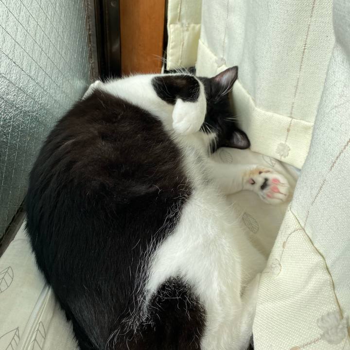 9d7d4c71 f296 4774 8836 8816bcc01640 1609473052999