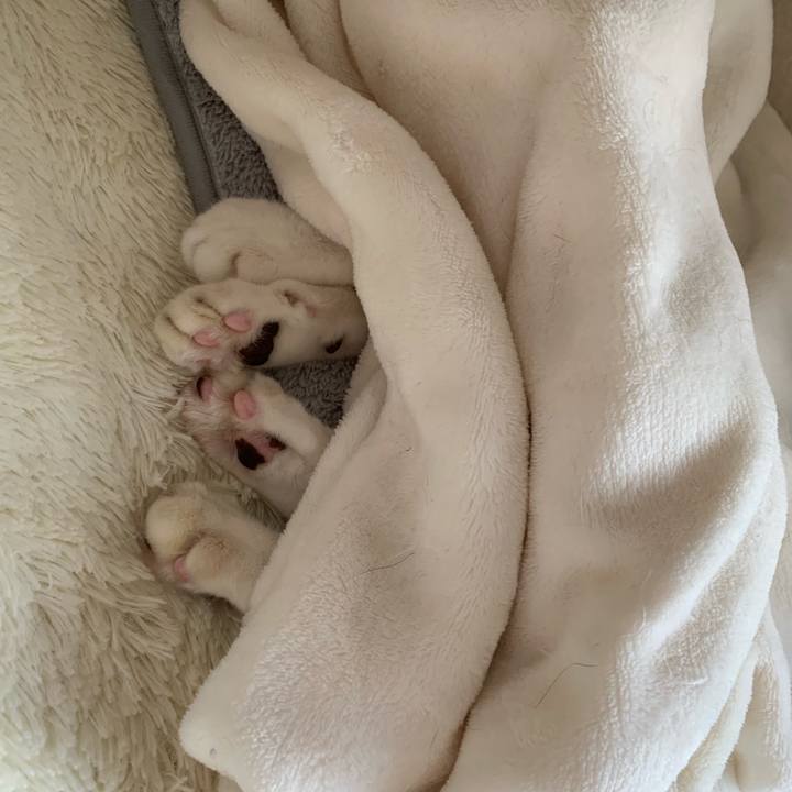 9d7d61e9 a211 4bce 8c59 05a23cc9ade9 1543025640684