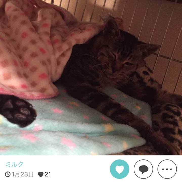 9d7d789d e731 4f1a b84f 0e5e7b5c5154 1511689854997