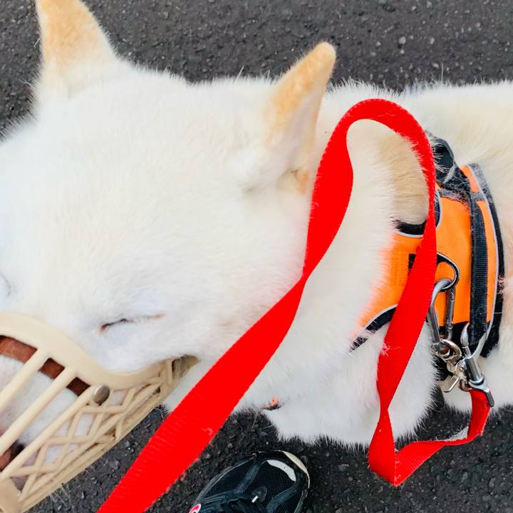 9d7db36c 7e55 4101 a02f 6b5aa98c5757 1618609045067