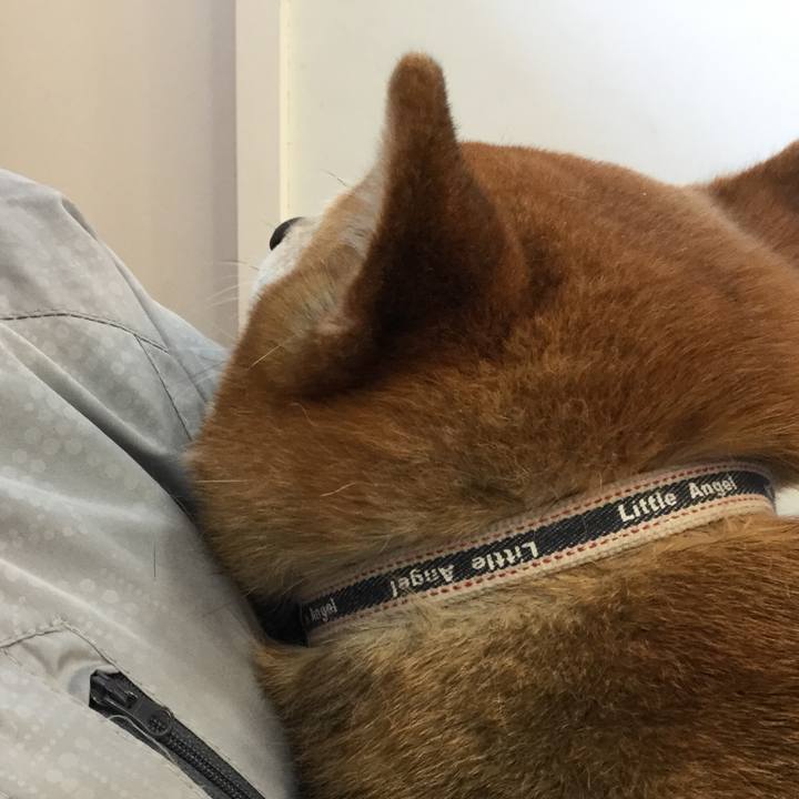 9d7dbe62 97f3 4a9b 8297 daff6013eee8 1588130279749