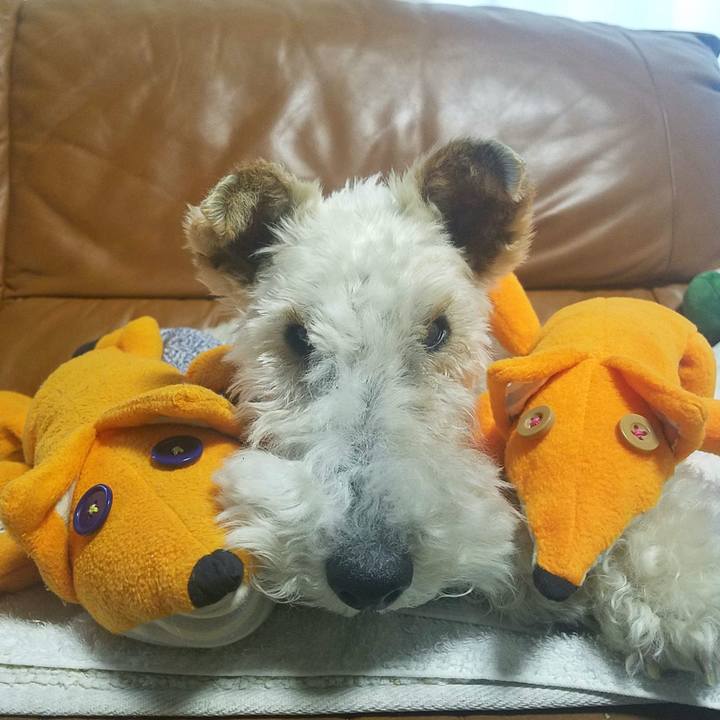 9d7e7c32 e491 4f74 bfac e1b38bd02891 1588738144753