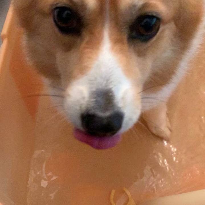 9d7eac1b 5a30 42d2 a264 0c2ccc3368b4 1625381318905