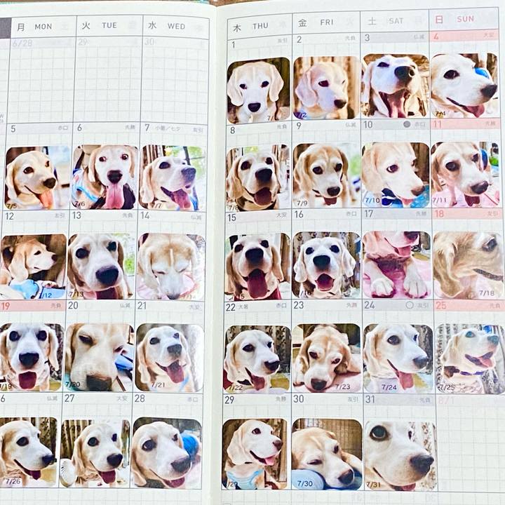 9d7ef6f8 11b9 4e5c b6da 9109bdf6cca3 1629641929297