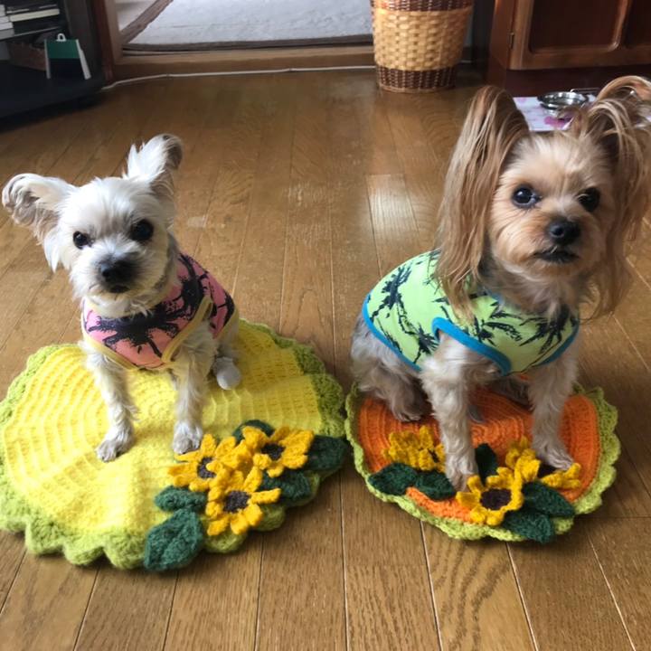 9d7f16f3 70ab 4c3b b86b 272e69593d5b 1574153902962