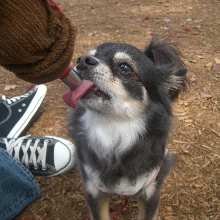 9d7f3082 3267 4836 8aaa 4b9949923a12 1548463034563