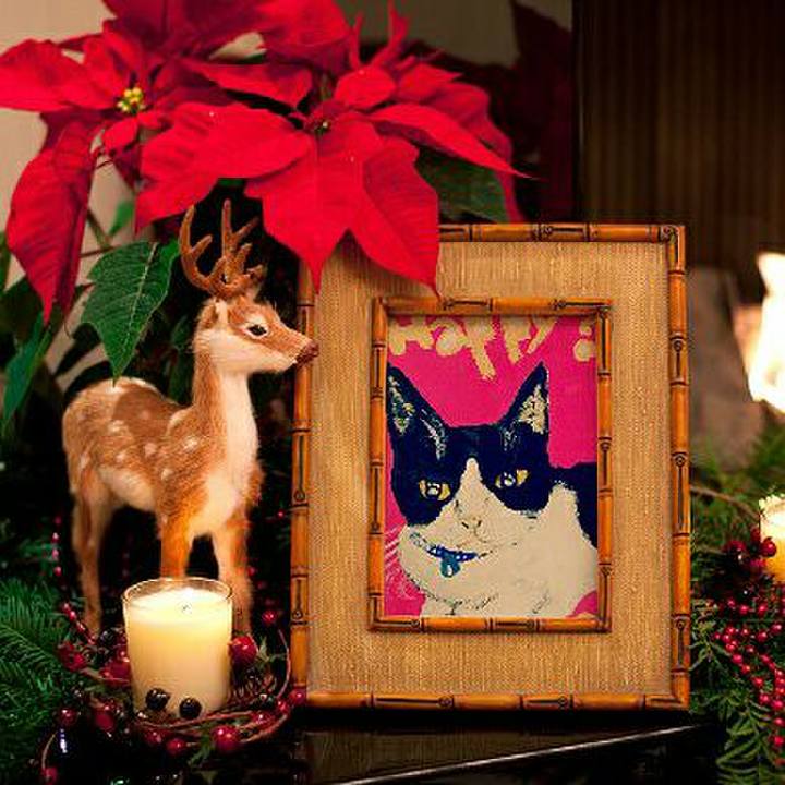 9d7f4885 3070 461b 8b97 fe711b1ec1e8 1510233849576