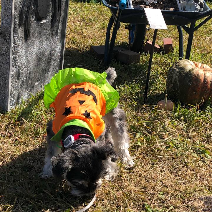 9d7f5eeb dbfc 49c0 b25a 168b8bedb126 1635568026009