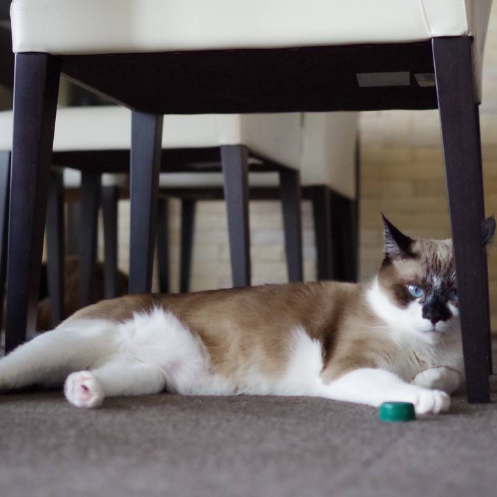 9d7f5fd9 f240 4b74 8e86 58c6bb7cdc90 1519789345248