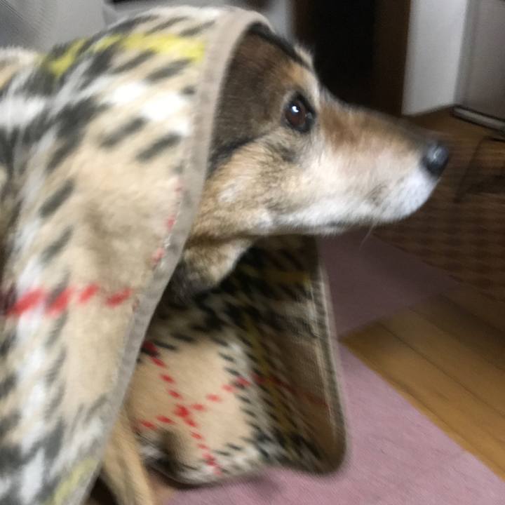 9d7f6743 35ef 4127 8ef1 fe050026061c 1516776289505