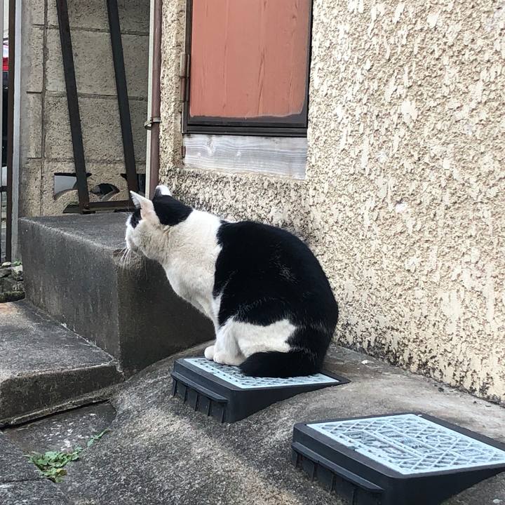 9d7f7afe e50f 4a70 a693 ef376b5f1569 1638015468068