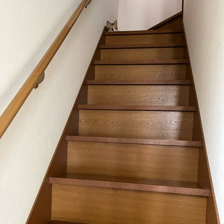 9d7f98af c3b8 45c1 890d 2effab4a3252 1722464989117