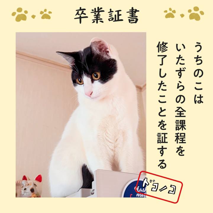 9d7fae01 fa13 4f67 ab61 a620f768221c 1771985403649