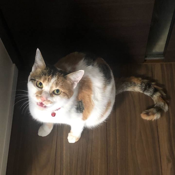 9d7fe72a 2936 4d15 b334 099dd7821c54 1579217579566