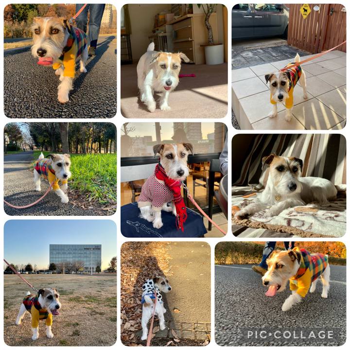 9d7ffb3b b86f 4e64 b484 70bcb41b10c7 1644133036169