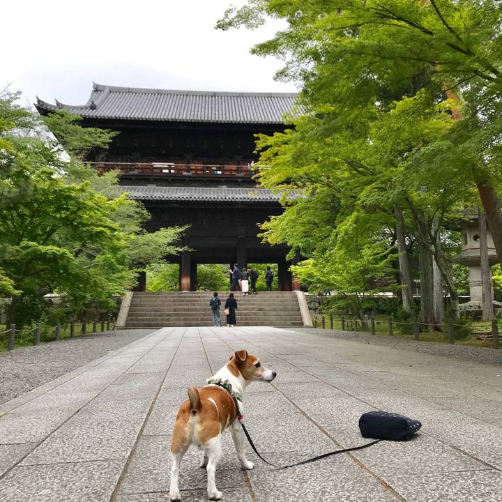 9d7ffc40 28c6 417f a4a9 b823bff21916 1526728505109