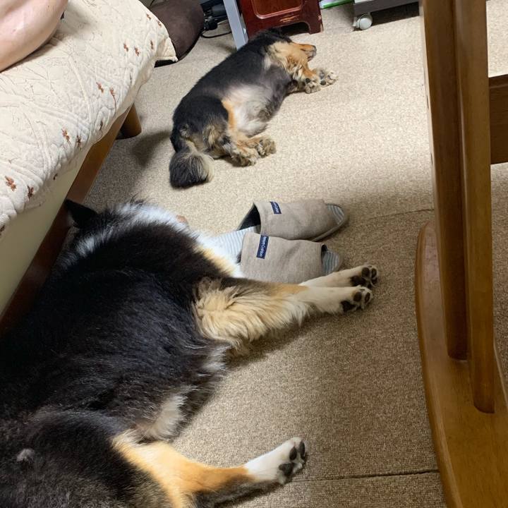 9d8000d6 5087 48cc 89b2 ae5f20d75d68 1566771914839