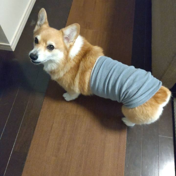 9d80530b adaa 4a3d bb51 e0c4f2c64e0f 1729172928947