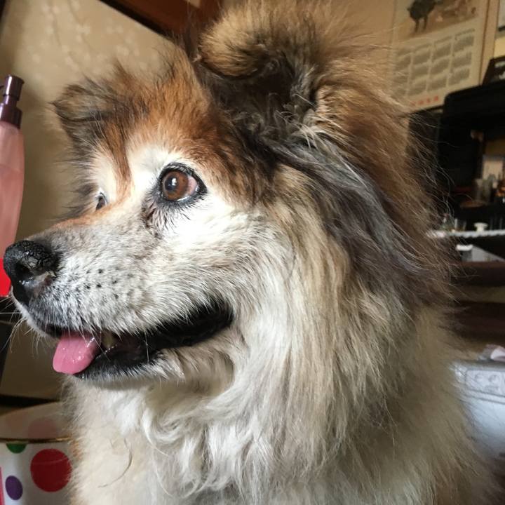 9d8055a7 54ef 4753 9926 728dea425c2f 1595073998433