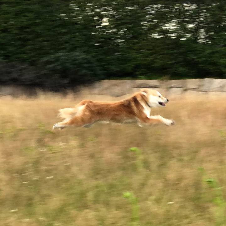 9d808b8e 3dc6 4110 8012 9e162070d40a 1589884726971