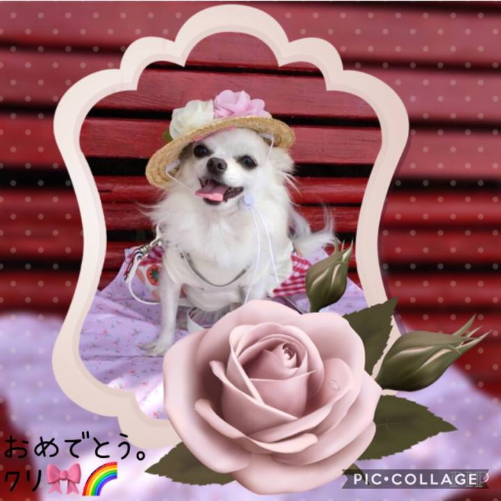 9d80b9c5 3369 4eb2 8ee2 5b28827713be 1549346869665