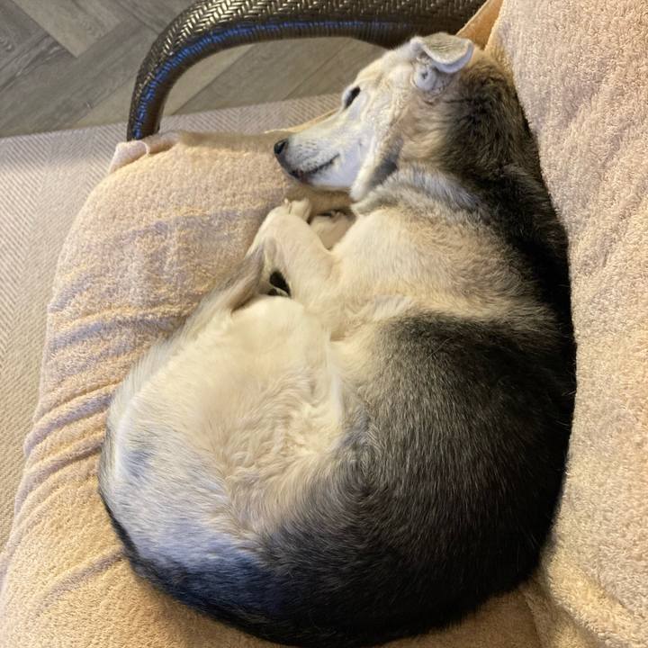 9d80cdd6 eda0 47b2 a45d 1428dc849890 1676689286246