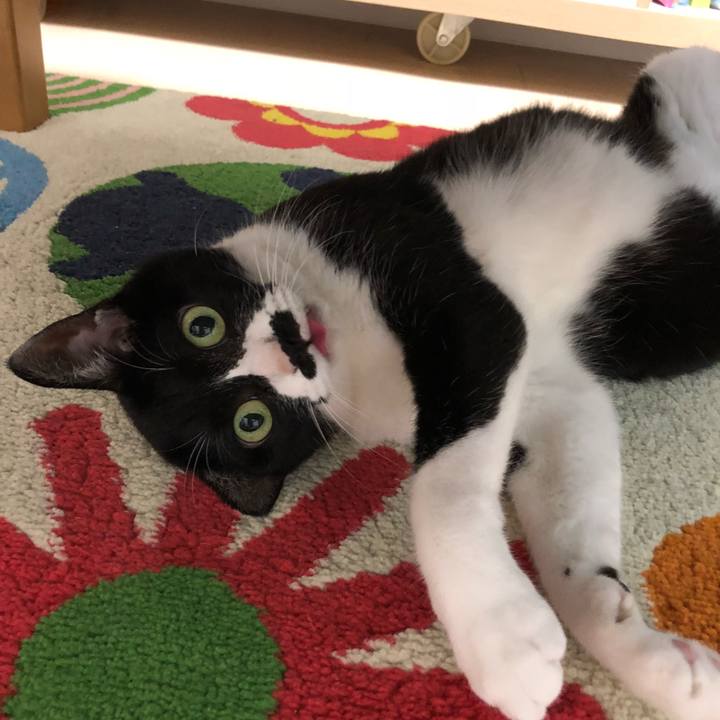 9d80d061 3fb9 4ee2 a33f 784f2bc03134 1532100954497