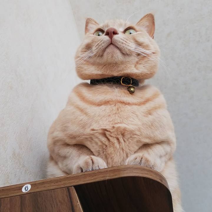 9d80e906 6752 40ee bb6a 5f4a4aadb3b5 1609632767653