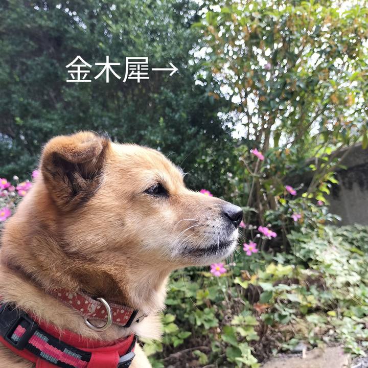 9d811427 129b 4d3c a481 f7cf50b20344 1727694496312