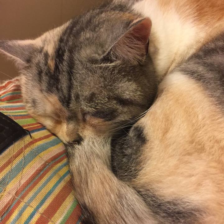 9d816629 5ba2 4b18 841a 1b27bf3e5bd8 1561216474450