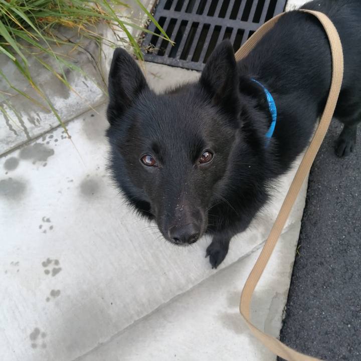 9d817387 1dd3 4b38 a33a a4d37275a1b9 1620250629050