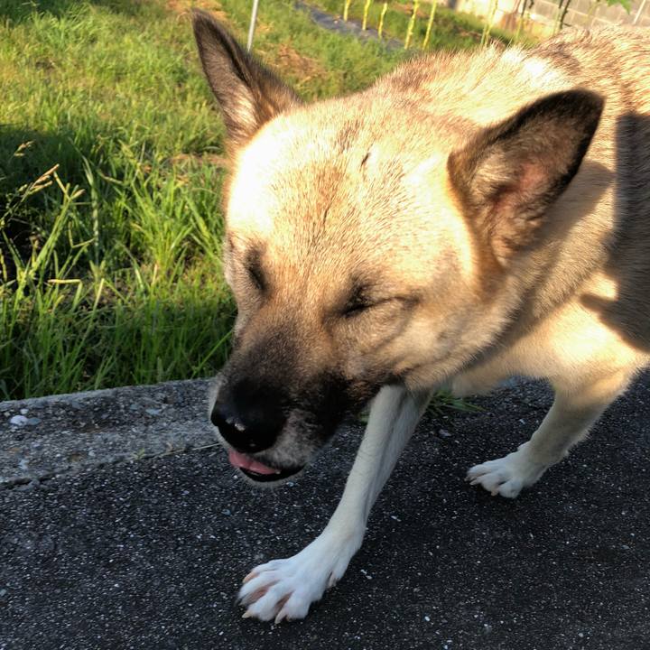 9d81917f fdfe 4aff b26b 4ae57c301189 1598440860139