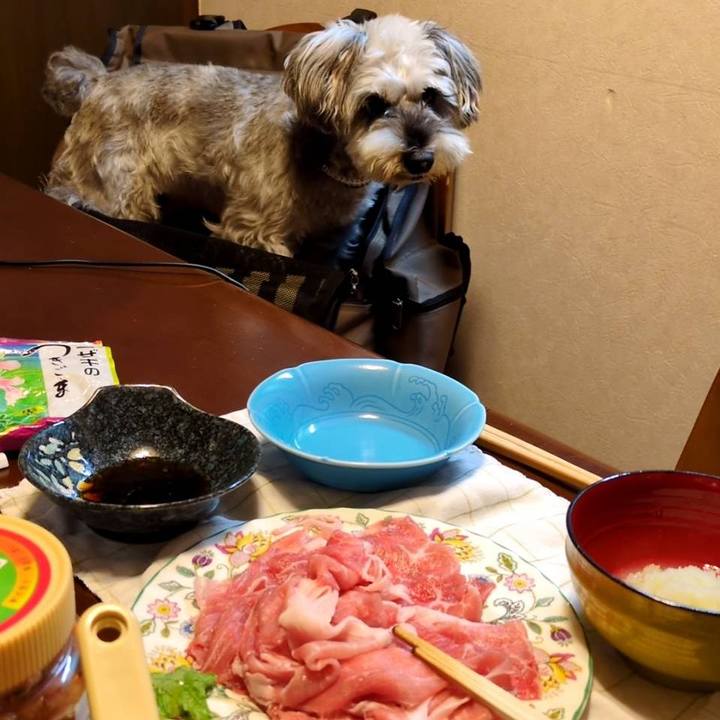 9d81a20e 6710 4ae4 984b d528c37518f2 1762695065690