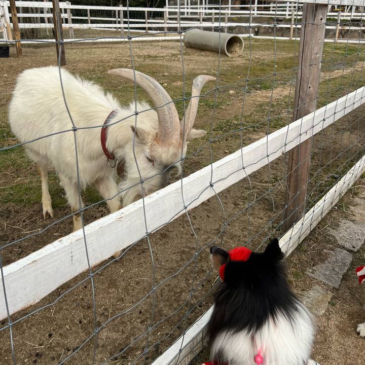 9d81c13d e058 427a 9237 22f7c55d9966 1647972661587